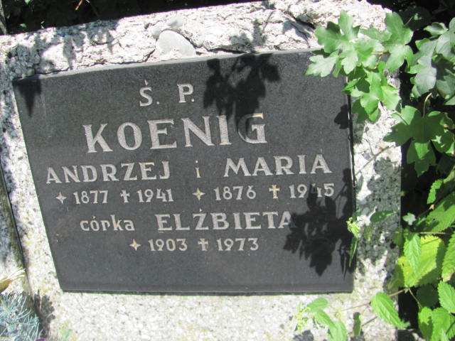 Andrzej Koenig 1876 Bielsko-Biała ewangelickie - Grobonet - Wyszukiwarka osób pochowanych