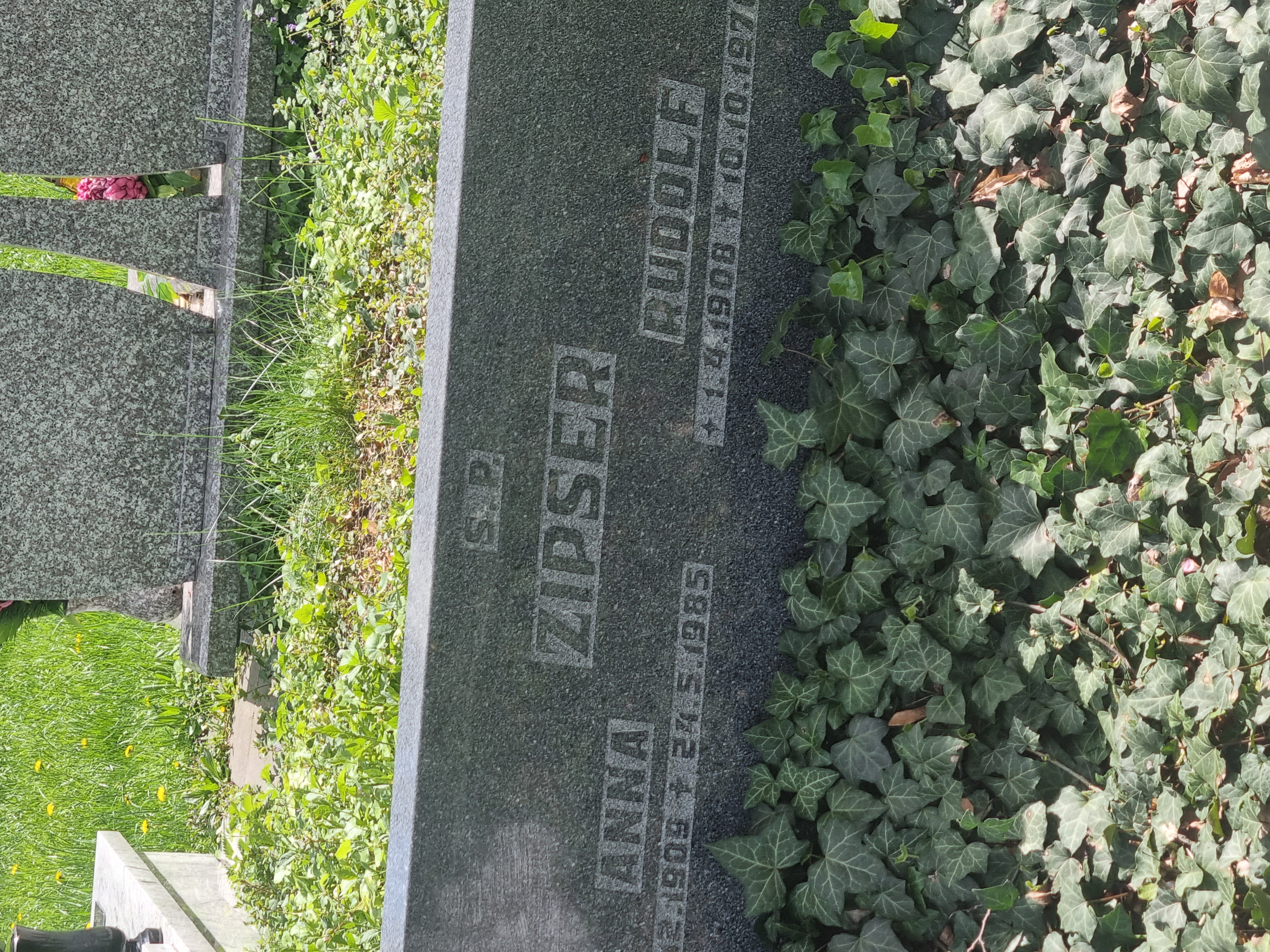 Rudolf Zipser 1908 Bielsko-Biała ewangelickie - Grobonet - Wyszukiwarka osób pochowanych