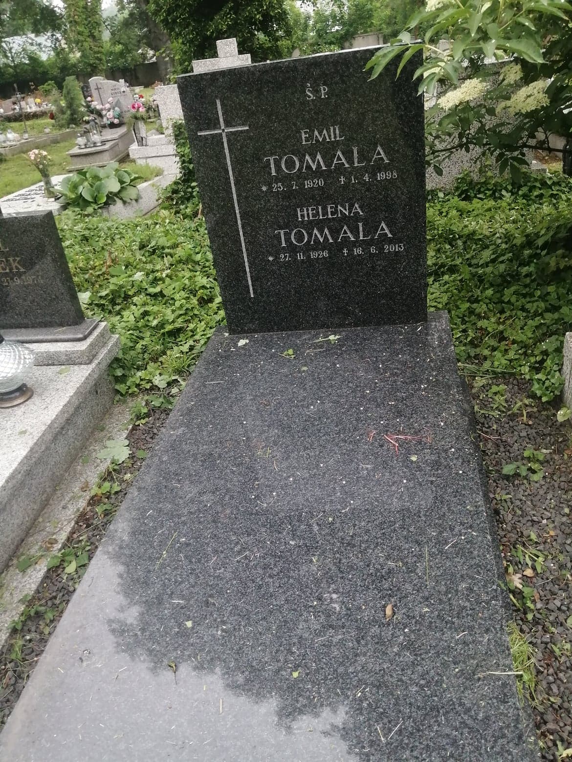 Emil Tomala 1920 Bielsko-Biała ewangelickie - Grobonet - Wyszukiwarka osób pochowanych