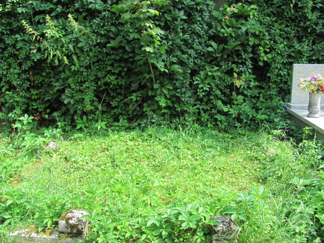  NN Bielsko-Biała ewangelickie - Grobonet - Wyszukiwarka osób pochowanych